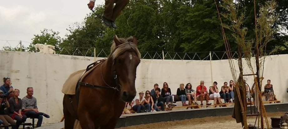 Manu Bigarnet Ardevac